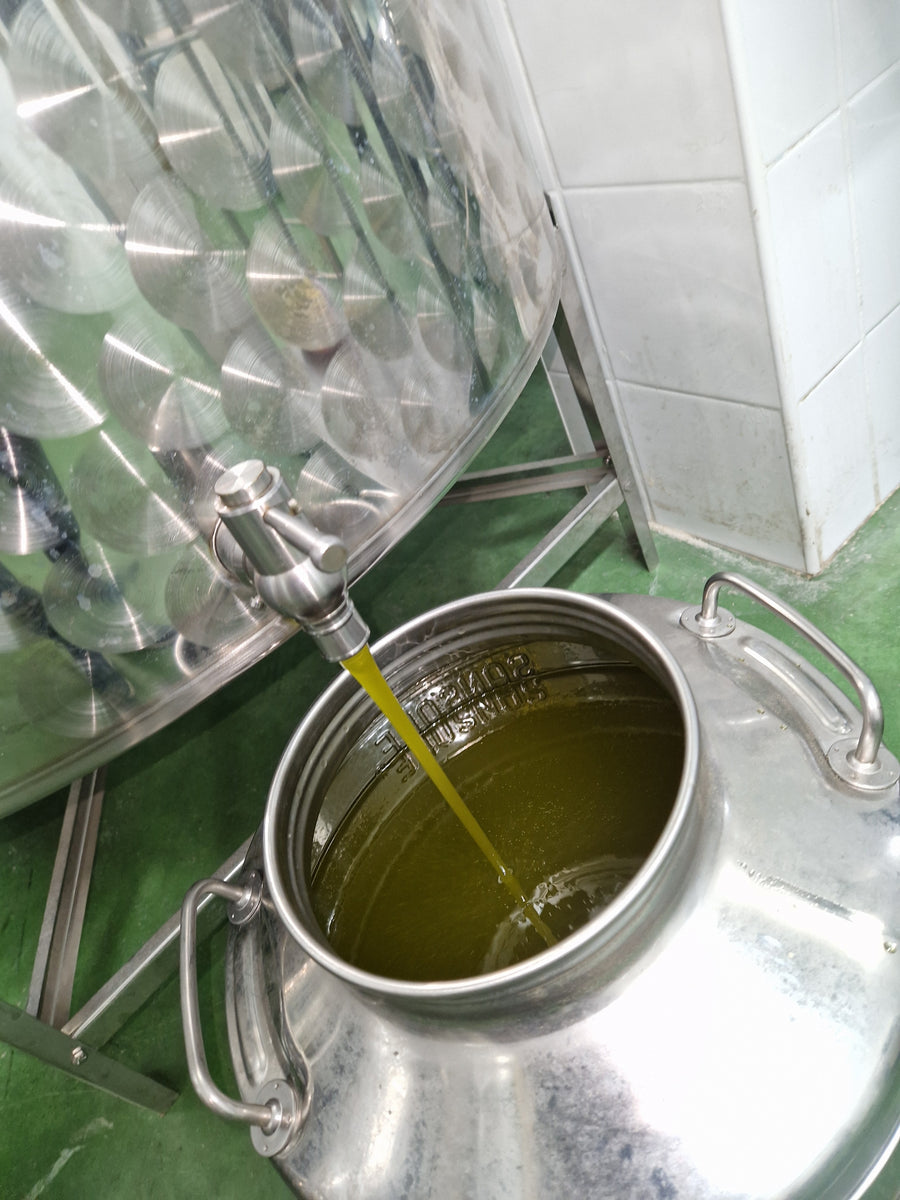 L'olio nuovo appena franto